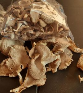 Sun Dried Sajar Kaju Oyster Mushroom