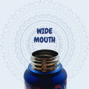 Voik Uniqo Mandana Stainless Steel Screw Water Bottle 750ml