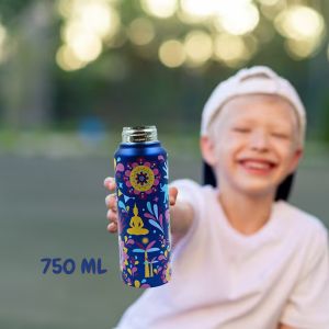 Voik Uniqo Mandana Stainless Steel Screw Water Bottle 750ml