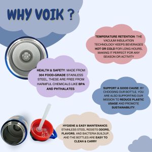 Voik Sippy Solar Stainless Steel Water Bottle with Straw