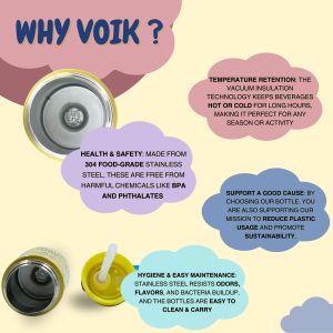 Voik Sippy Smile Stainless Steel Water Bottle with Straw