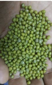 Ethiopian Green Mung Beans