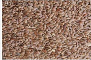 Flax Seed