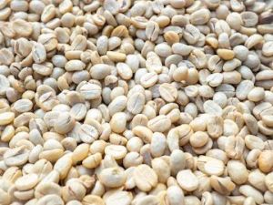 White Coffee Beans