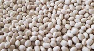 White Pea Beans