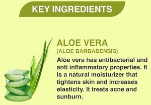 Alobhic Aloe Vera Gel