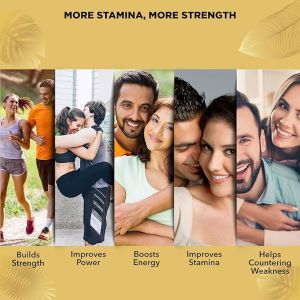 Amulya Herbs 10x  Ashwa  Capsules
