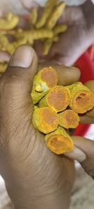 Turmeric Finger