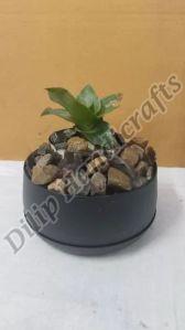 Handicraft Planter Pot