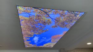 Living Room Stretch Ceiling