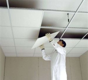 Ceiling Panel Installation Services