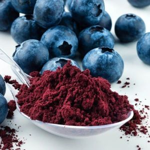 Spray Dried Blackberry Powder