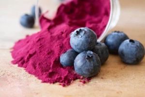 Spray Dried Blueberry Powder