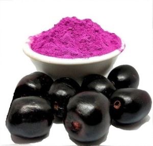 Spray Dried Jamun Powder