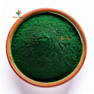 Spirulina Powder