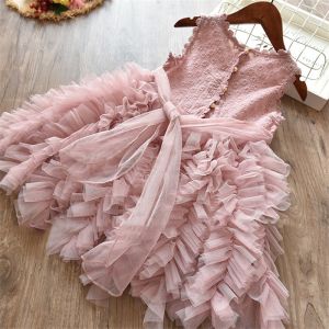 Girls Sleeveless Party Wear Dress