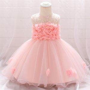 Baby Girl Lace Pattern Party Wear Dress