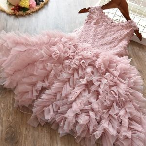 Girls Sleeveless Party Wear Dress