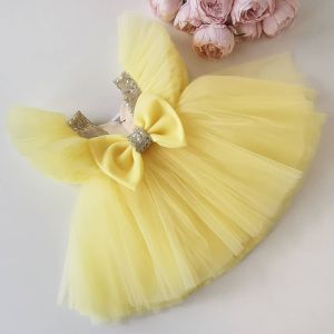 Baby Girl Elegant Party Wear Dress