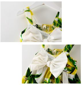 Baby Girl Sleeveless Summer Dress