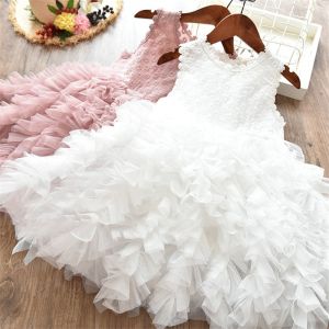 Girls Sleeveless Party Wear Dress