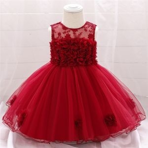 Baby Girl Lace Pattern Party Wear Dress