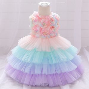 Baby Girl Lace Pattern Party Wear Dress