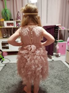 Girls Sleeveless Party Wear Dress