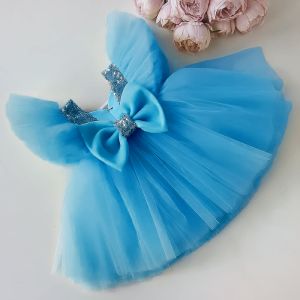 Baby Girl Elegant Party Wear Dress