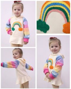 Girl Multicolor Hoodie Dress