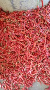 Dry Red Chili