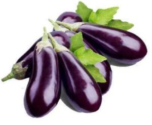 Fresh Brinjal