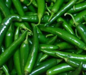 Fresh Green Chilli