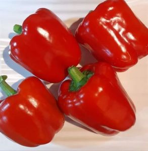 Fresh Red Capsicum