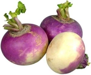 Fresh Turnip