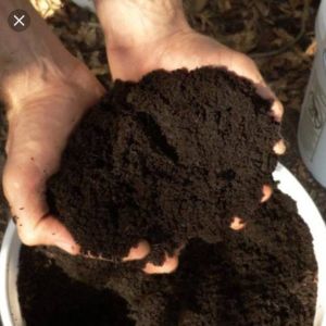 Organic vermicompost