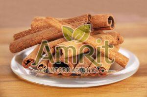 Cinnamon Stick