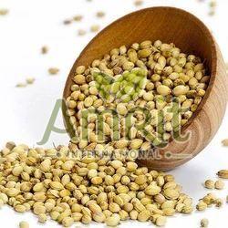 Coriander Seeds