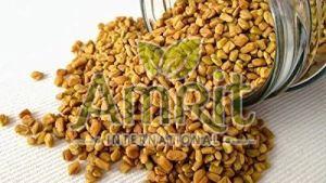 Fenugreek Seeds