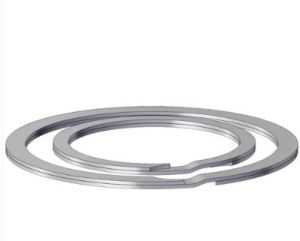 Stainless Steel Retainer Ring