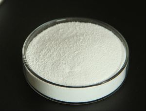 Citicoline Sodium Powder