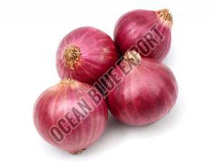 A Grade Fresh Onion