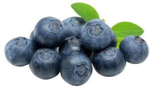 Fresh Blueberry