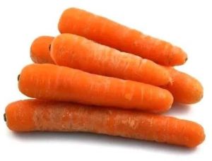 Fresh Carrot