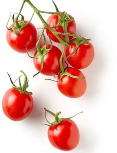 Fresh Cherry Tomato