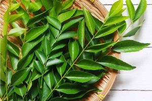 Fresh Curry Leaves