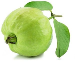 Fresh Guava