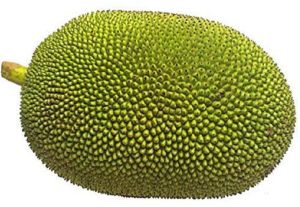 Fresh Jackfruit