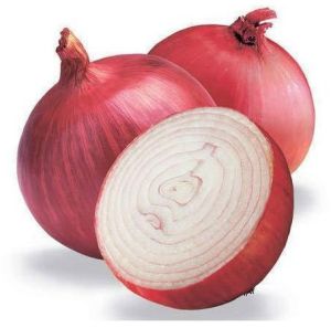 Fresh Large Onion