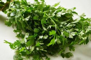 Fresh parsley